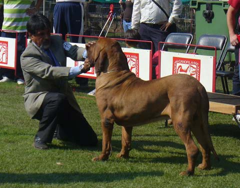 Image01